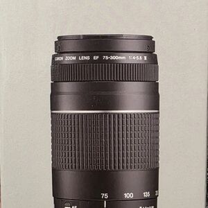 Canon Black EF 75-300mm Zoom Lens